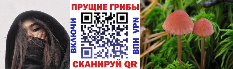 Купить  Ленск  Псилоцибиновые грибы MAGIC MUSHROOMS 
